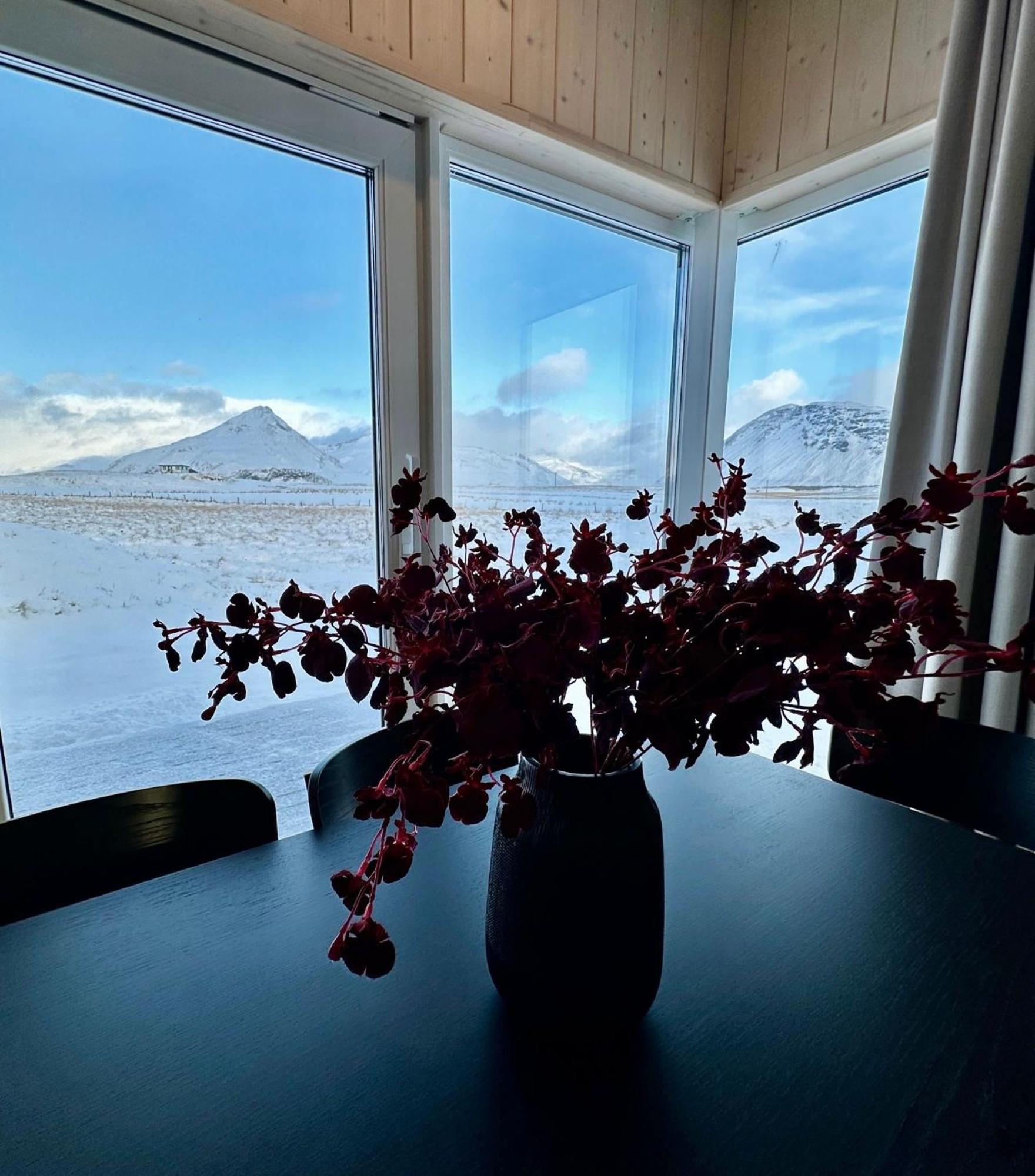 Rey Stays - House Höfn Extérieur photo